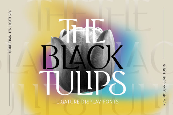 Black Tulip Font for Elegant Web Design