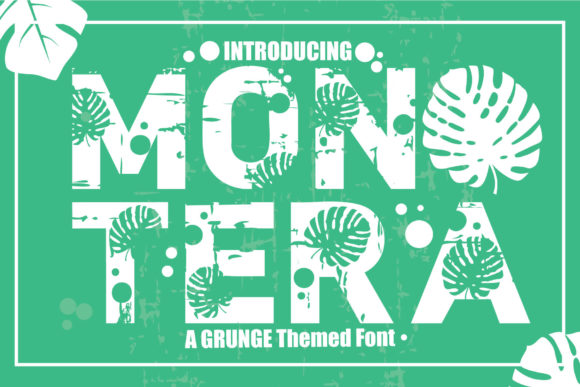 Mon Tera: Bold Font for Dynamic Campaigns