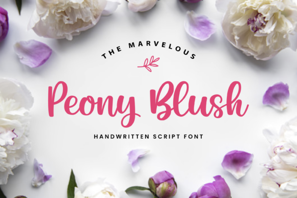 Peony Blush Font Review
