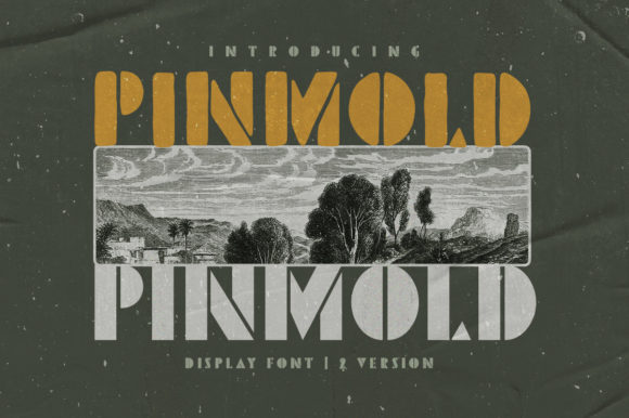 Pinmold Font for Creative Projects