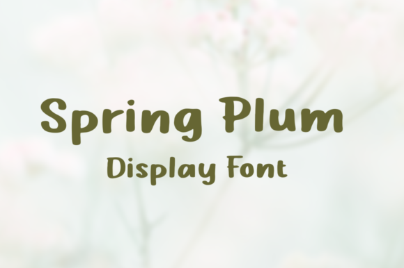 Spring Plum Font Review